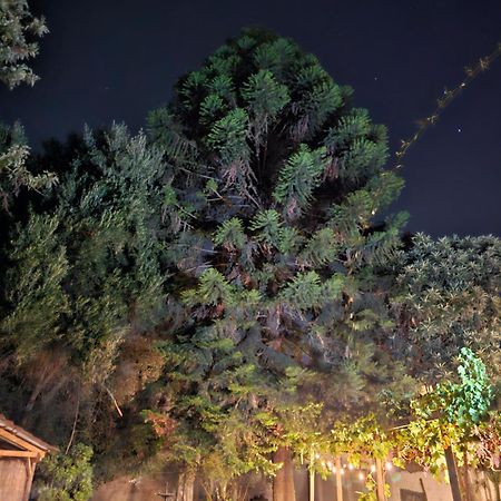 La Araucaria Cabana Con Tinaja San Felipe Bagian luar foto