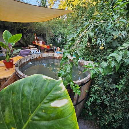 La Araucaria Cabana Con Tinaja San Felipe Bagian luar foto