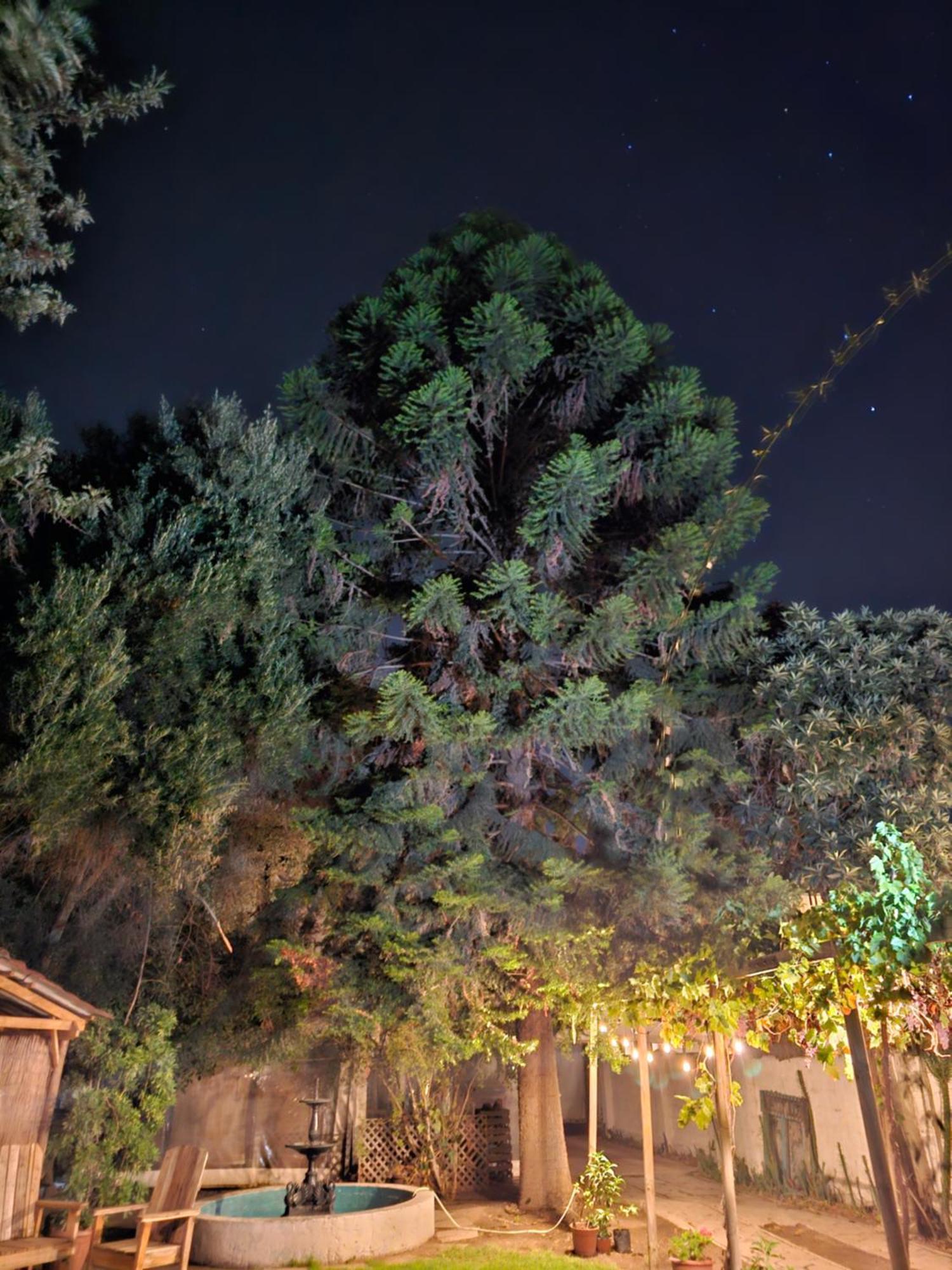 La Araucaria Cabana Con Tinaja San Felipe Bagian luar foto