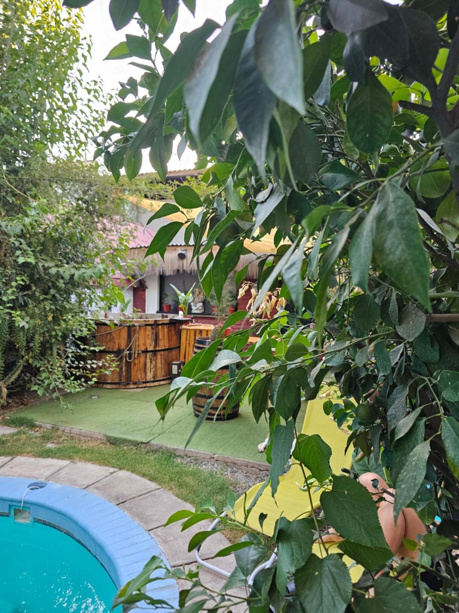 La Araucaria Cabana Con Tinaja San Felipe Bagian luar foto