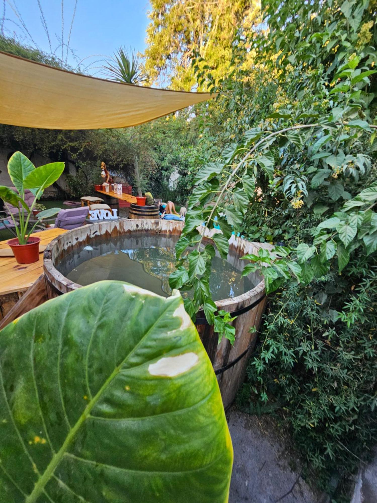 La Araucaria Cabana Con Tinaja San Felipe Bagian luar foto