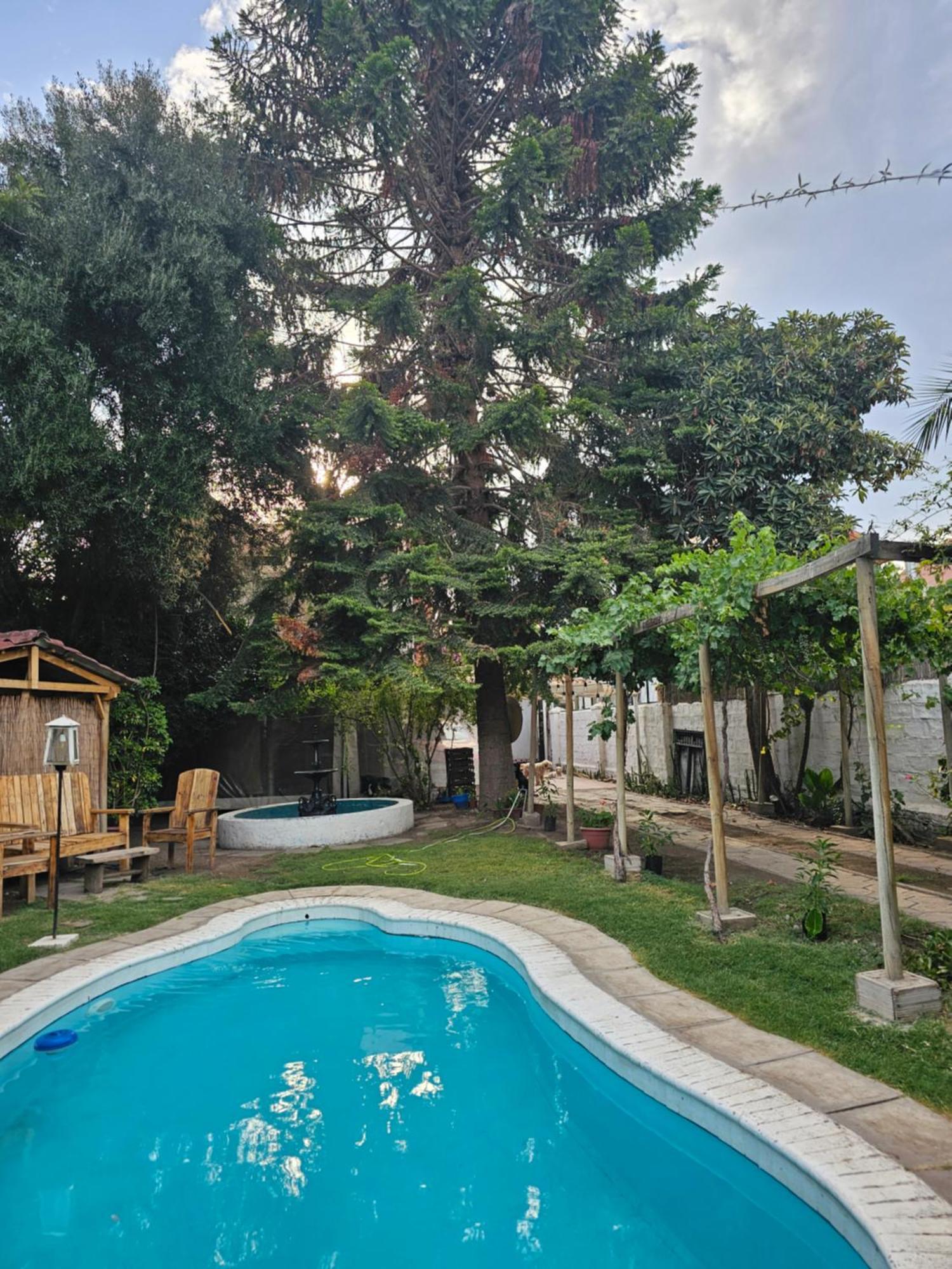 La Araucaria Cabana Con Tinaja San Felipe Bagian luar foto